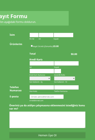 Worldpay US Çalışma Atölyesi Kayıt Form Şablonu