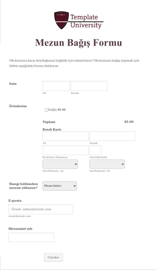 WorldPay US Mezun Bağış Form Şablonu
