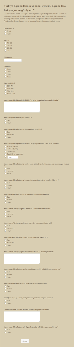 Yabancı Öğrenci Anketi Form Şablonu