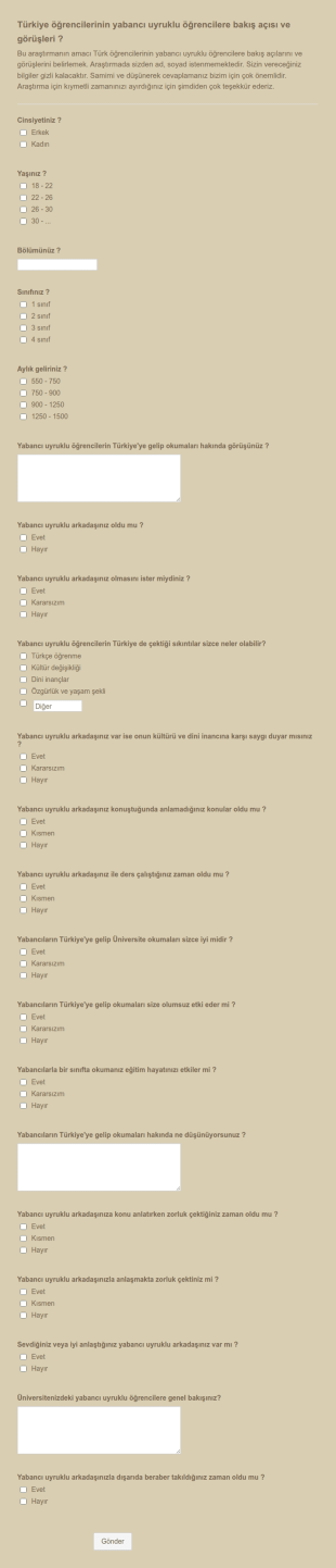 Yabancı Öğrenci Anketi Form Şablonu