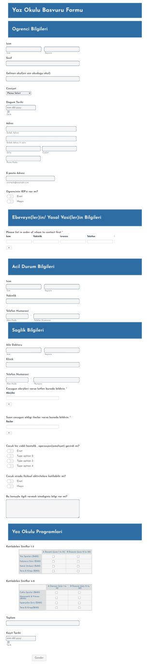 Yaz Okulu Basvuru Form Template