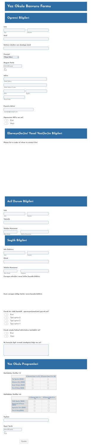 Yaz Okulu Basvuru Form Şablonu