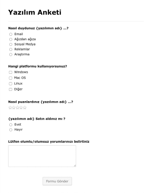 Yazılım Anketi Form Template