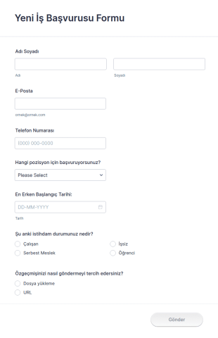 Yeni İş Başvurusu Form Şablonu