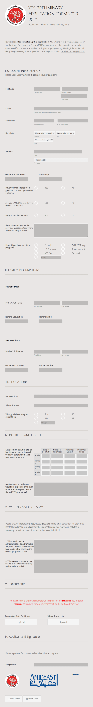 Preliminary Application Form Template