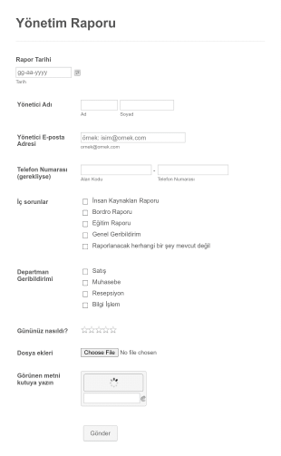 Yönetim Geri Bildirim Raporu Form Template