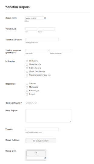 Yönetim Raporu Form Template
