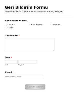 Yorum Bildirme Form Template