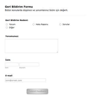 Yorum Bildirme Form Şablonu