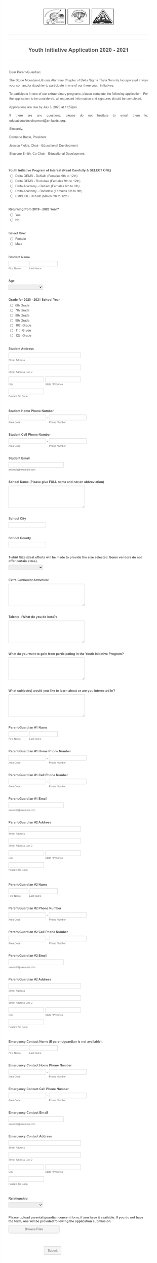 Youth Initiative Program Application Form Template