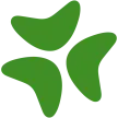 Bloomerang