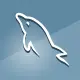MySQL Export