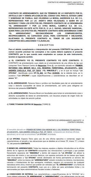 234 Plantilla PDF