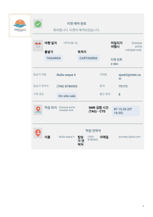 여행 티켓 양식 PDF 템플릿