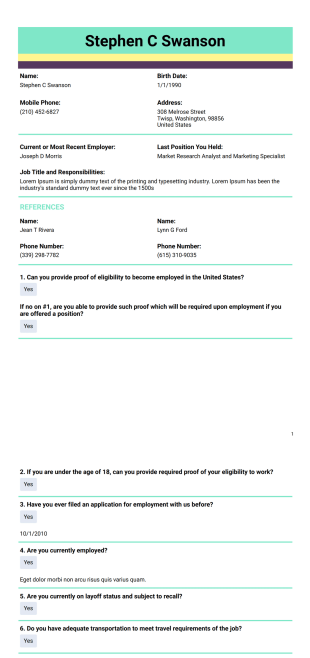 Advanced Employment Application Template - PDF Templates
