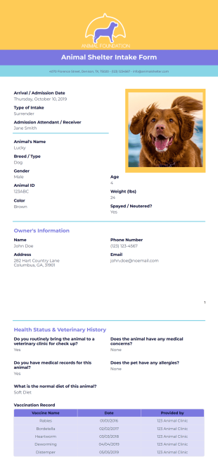 Animal Shelter Intake Form Template - PDF Templates