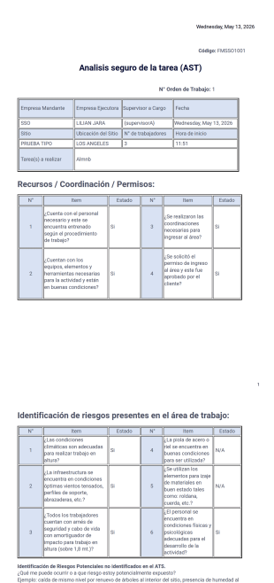 ast Plantilla PDF