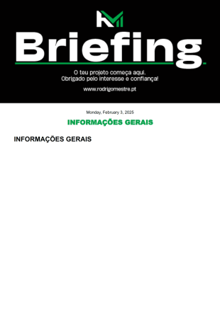 Briefing website PDF Template