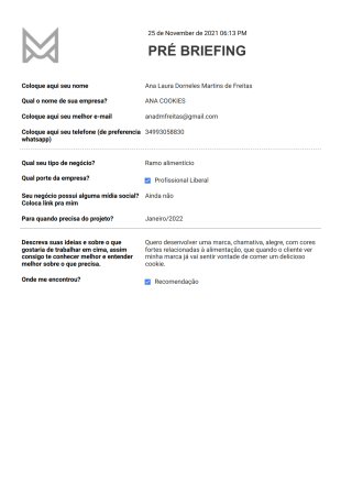 Briefing Modelo de PDF