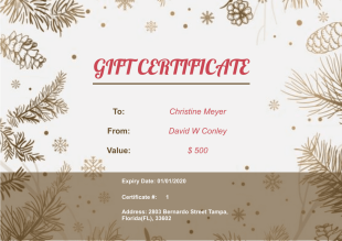 Business Gift Certificate Template - PDF Templates