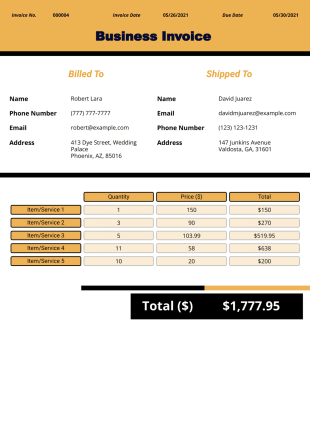 Business Invoice PDF Template
