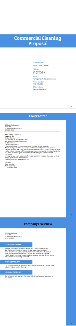 Business PDF Template