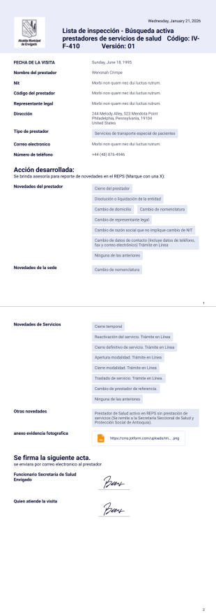 busqueda activa Plantilla PDF