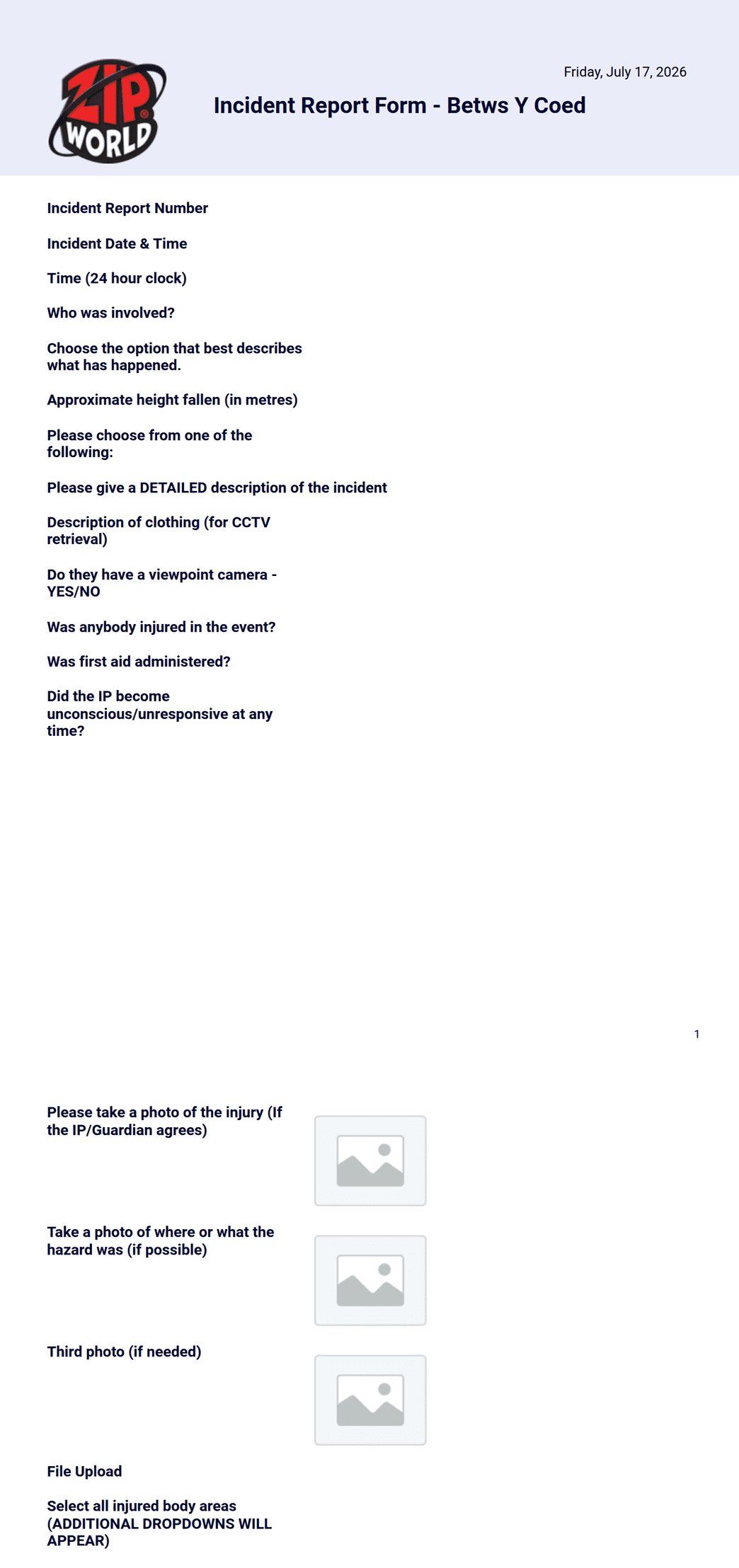 Irf Form.pdf BYC IRF PDF Report - PDF Templates | Jotform