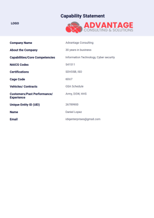 Capability Statement PDF Template
