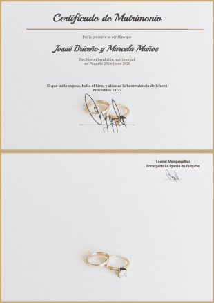 casamiento Plantilla PDF
