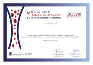 Certificado Asistencia Plantilla PDF