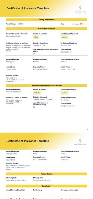 Certificate of Insurance Template - PDF Templates