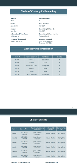 Chain of Custody Evidence Log Template - PDF Templates
