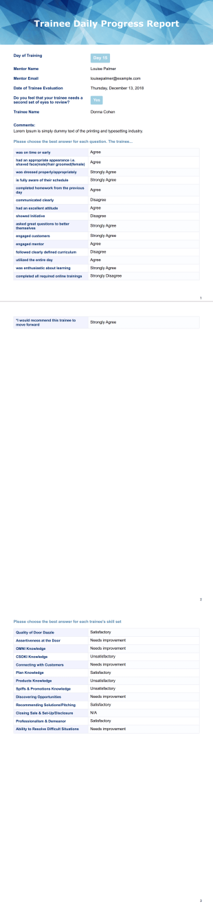 Daily Progress Report PDF Template