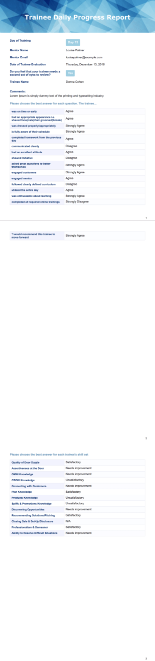 Daily Progress Report PDF Template