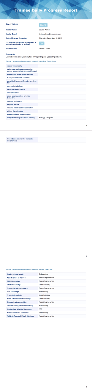 Daily Progress Report - PDF Templates