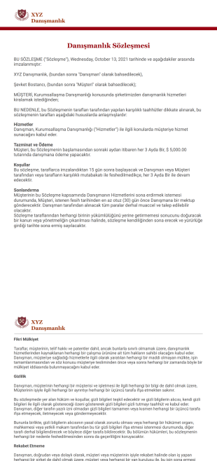 Danışmanlık Sözleşmesi Şablonu - PDF Templates