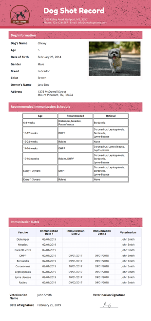 Dog Shot Record Template - PDF Templates