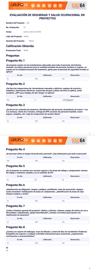 E4 Plantilla PDF