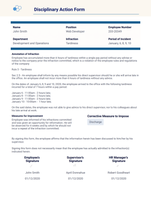 Employee Disciplinary Report - PDF Templates