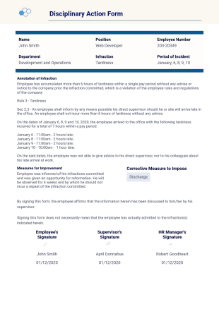 Employee Disciplinary Report PDF Template