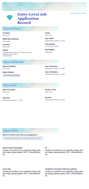 Entry-Level Job Application Record PDF Template