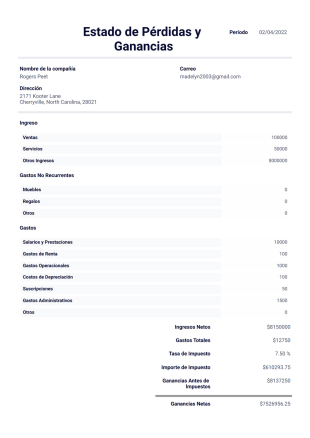 Estado de Pérdidas y Ganancias Plantilla PDF