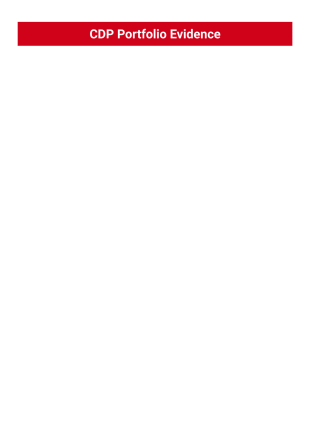 evcdp PDF Template