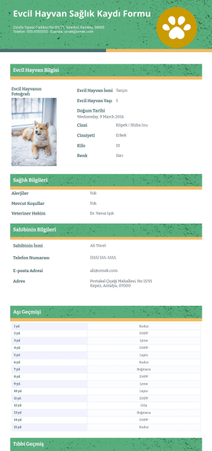 Evcil Hayvan Sağlık Kaydı Şablonu - PDF Templates