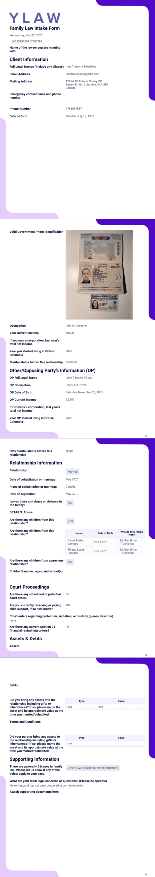 Family Law Intake Form PDF Template