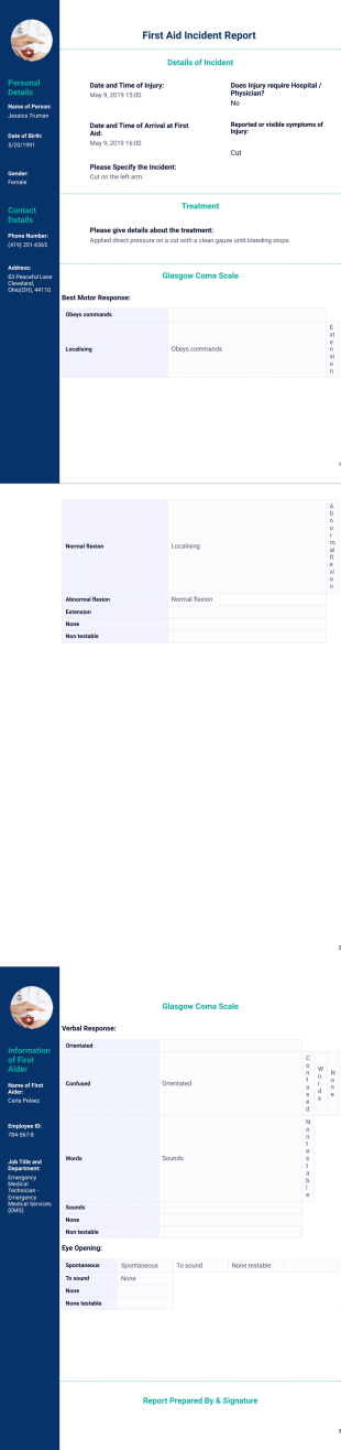 First Aid Incident Report Template - PDF Templates