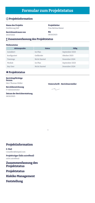 Formular zum Projektstatus Vorlage - PDF-Vorlagen