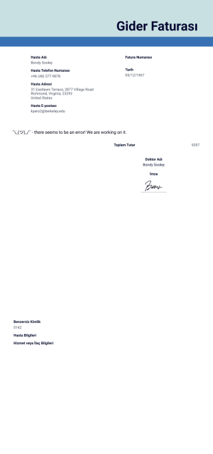 Gider Faturası Örneği PDF Şablonu