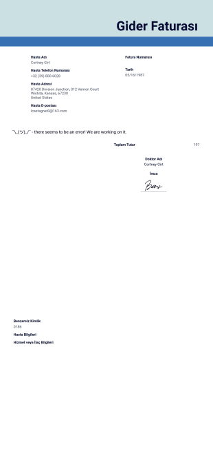 Gider Faturası Örneği PDF Şablonu